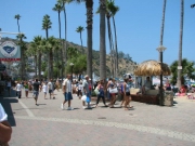 Days Catalina Pics 2005 060.jpg: 2005/08/01 - Day's Catalina Pics - 2005